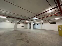 ELEMENT 14 (D19), Warehouse #455325771
